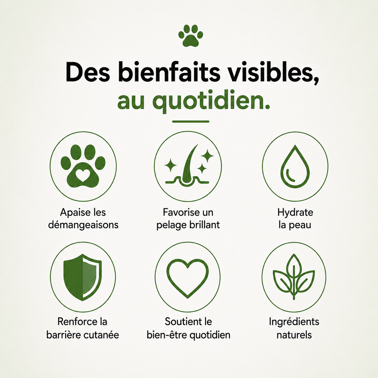 Collagen pour chien