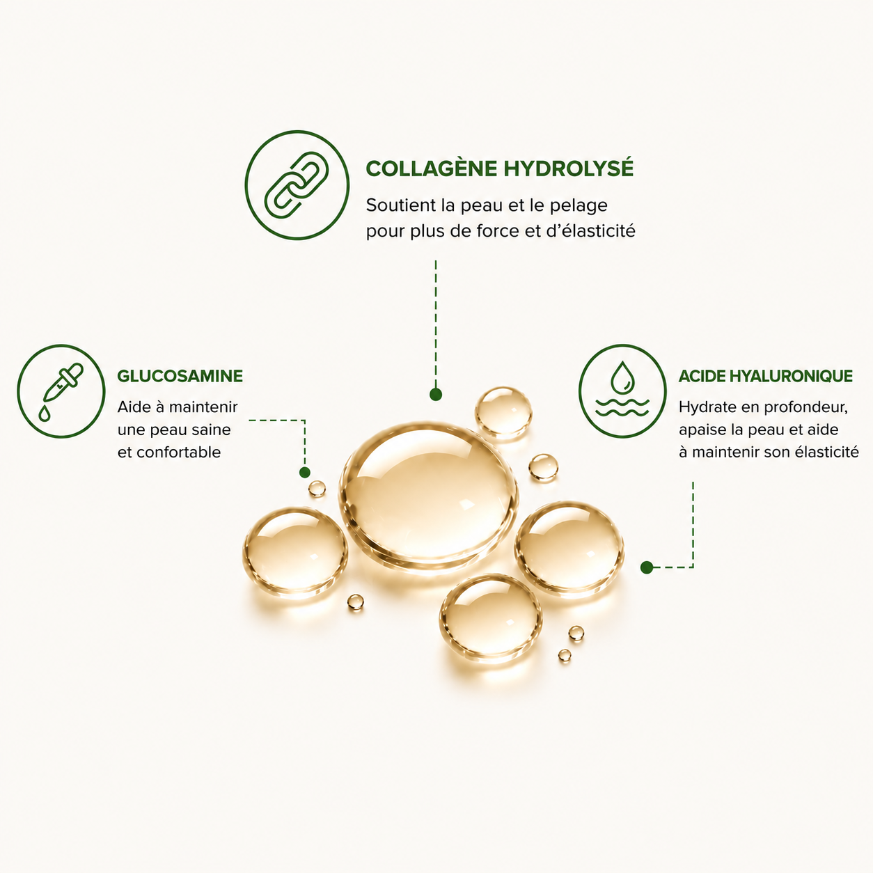 Collagen pour chien