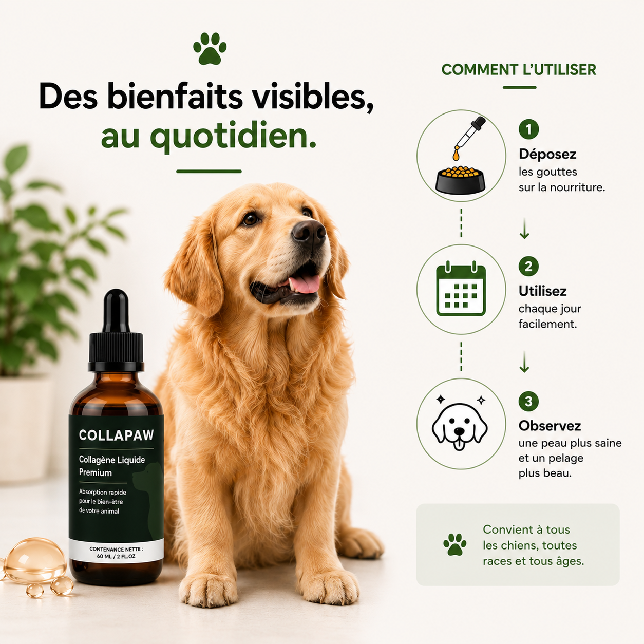 Collagen pour chien